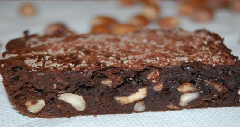 brownies_chocolat_insectes