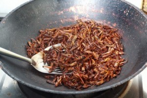wok rempli d'insectes comestibles