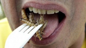 bouche avec une fourchette et des insectes