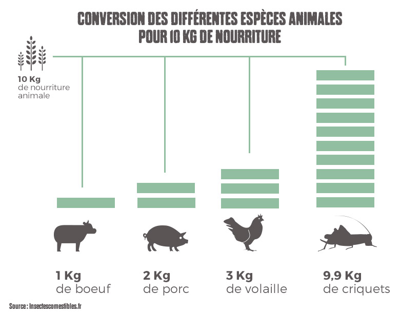 Taux de conversion des différentes espèces animales pour 10 kg de nourriture - Insectescomestibles.fr