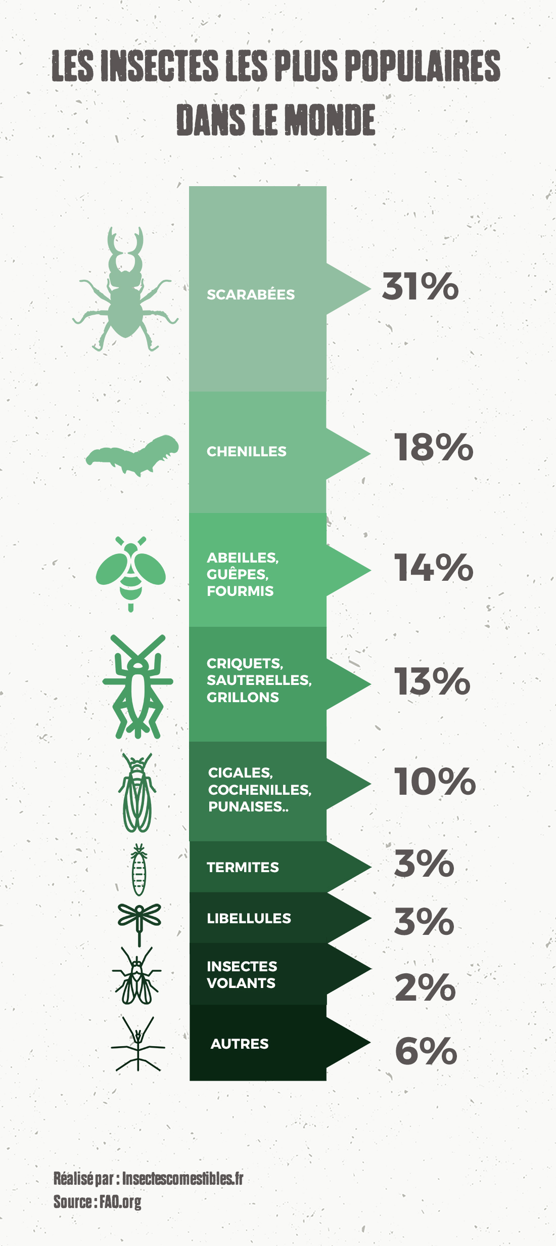 Quels sont les insectes à manger les plus populaires ? Insectes comestibles .fr