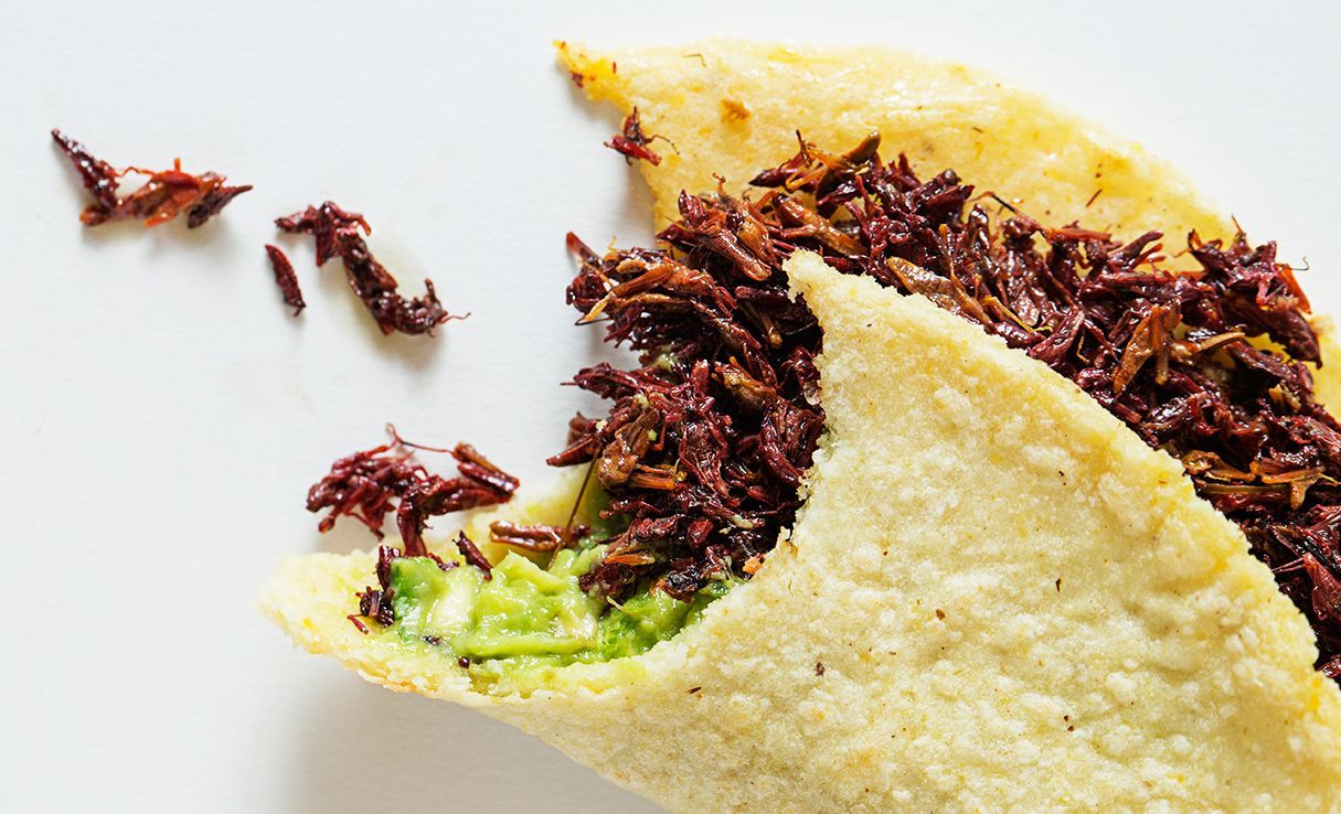Tacos aux criquets de chez Oyamel - Crédit photo : Washingtonian