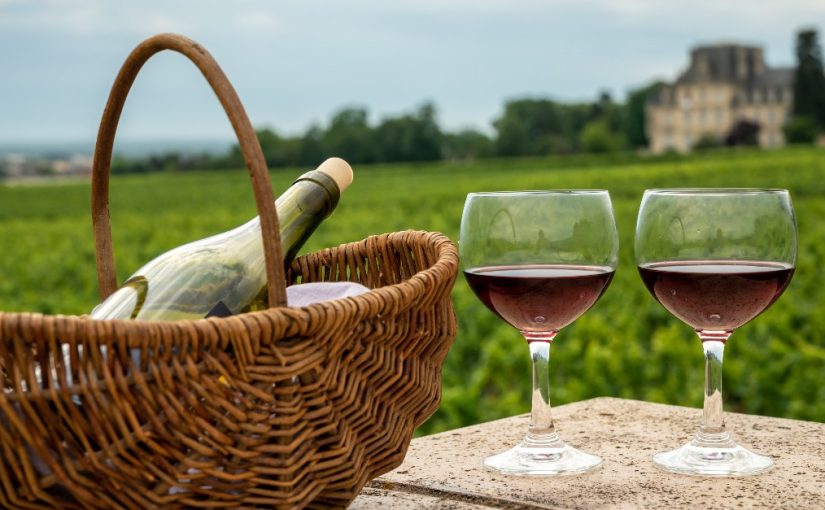Investir dans un domaine viticole : est-ce un bon plan